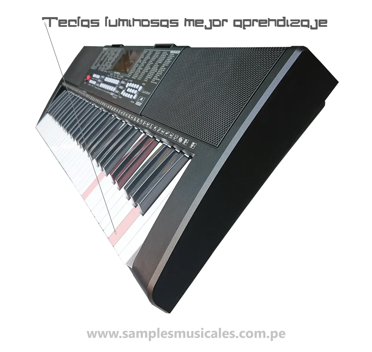 Soporte P/ Organo / Teclado / Piano + Adaptador P/ Notebook
